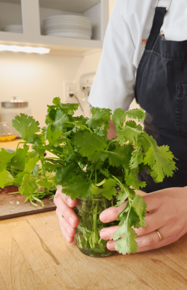 Person holding a bunch of fresh cilantro in a glass jar on a wooden countertop, embodying simple hospitality etiquette in a warm, inviting kitchen.