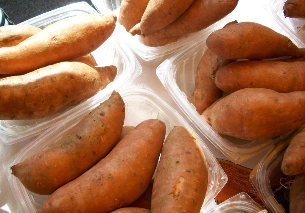 Several clear plastic containers filled with whole sweet potatoes are displayed on a surface, ready to be used in your next Seattle prepared meal delivery.
