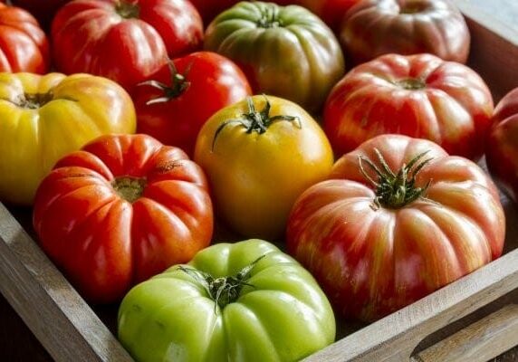 Heirloom Tomatoes