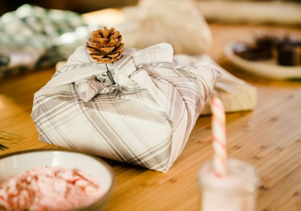 ultimate holiday gift