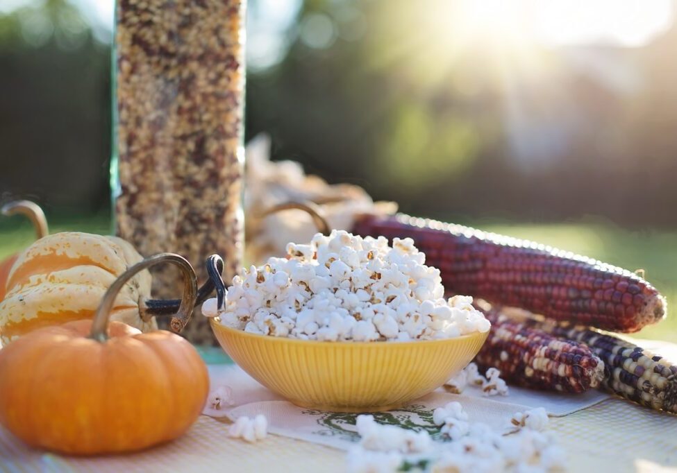 A yellow bowl of popcorn is set on a table with a decorative pumpkin, dried corn cobs, and another small gourd, all lit by soft sunlight. It's the perfect scene for tackling tailgating temptations during football season.